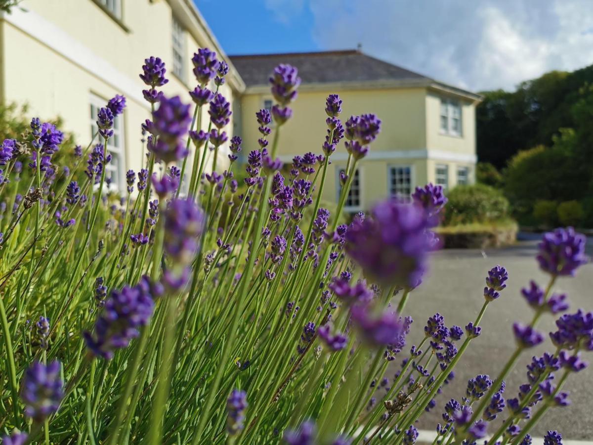 Rose In Vale Country House Hotel St Agnes  Exterior foto