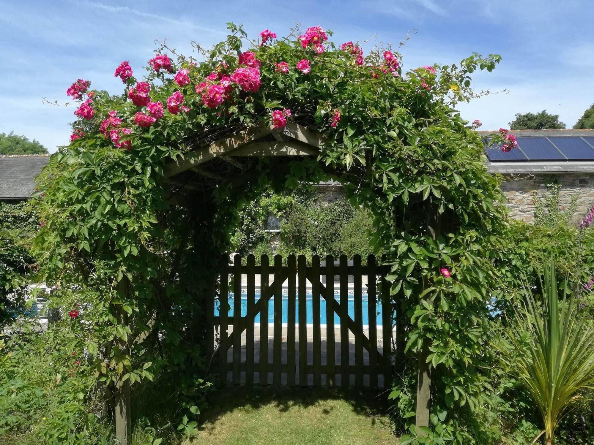 Rose In Vale Country House Hotel St Agnes  Exterior foto